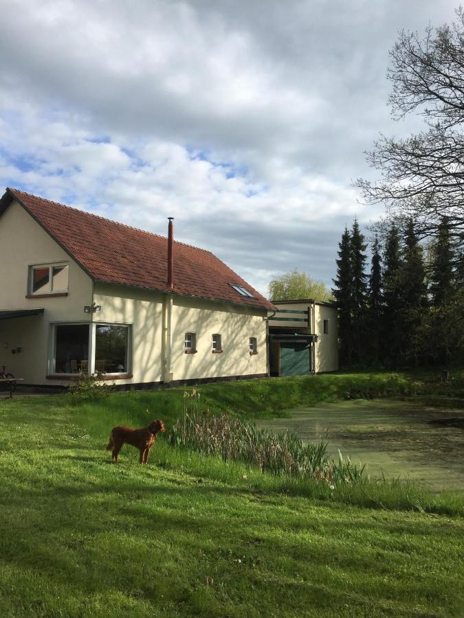 Parkblick Gruener Salon Lägenhet Satow Exteriör bild